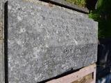 image of grave number 689528